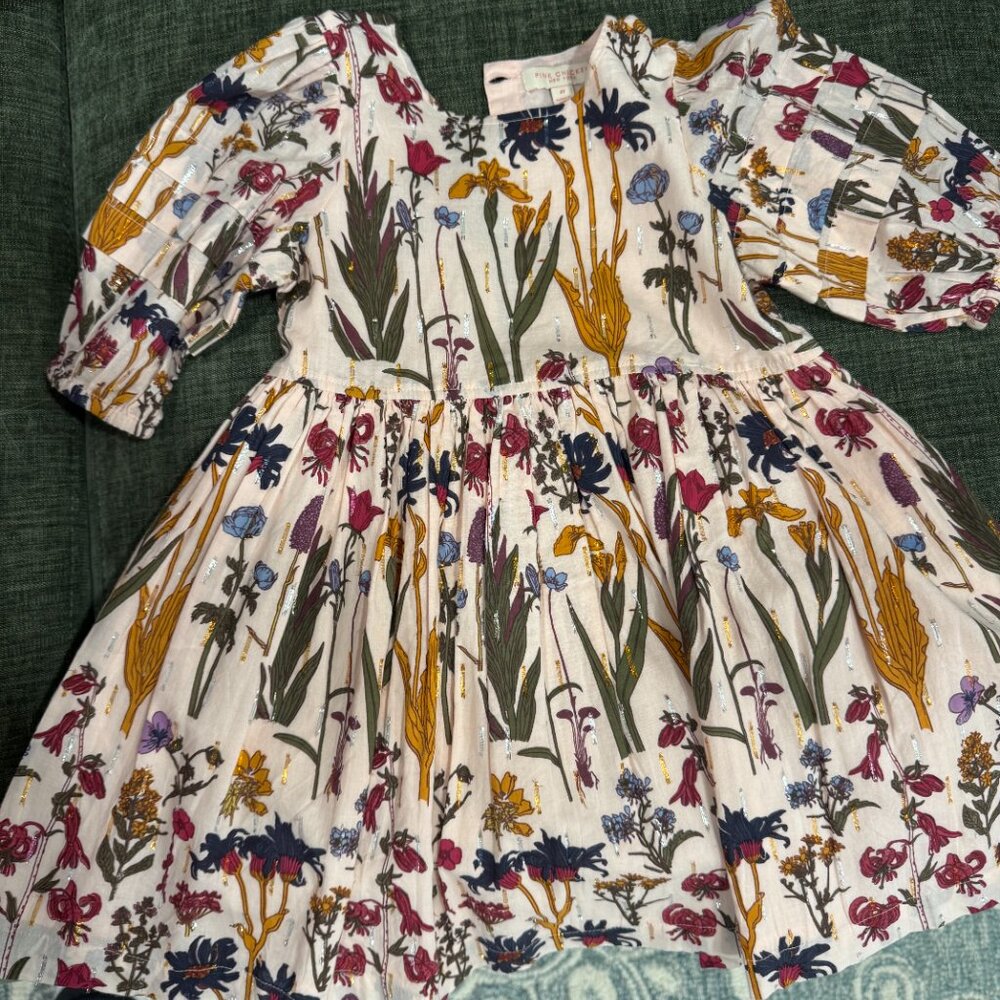 Pink Chicken 4Y Floral Dress